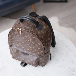 LOUIS VUITTON Palm Springs brown canvas backpack